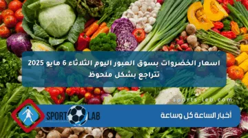 أسعار الخضروات بسوق العبور اليوم الثلاثاء 6 مايو 2025 تتراجع بشكل ملحوظ